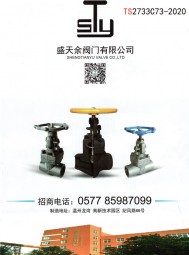 鍛鋼閘閥 _鍛鋼截止閥_鍛鋼止回閥 _鍛鋼球閥-浙江盛天余閥門有限公司